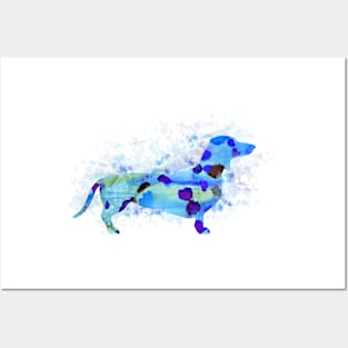 Dachshund Dog 160 blue watercolor splash Posters and Art